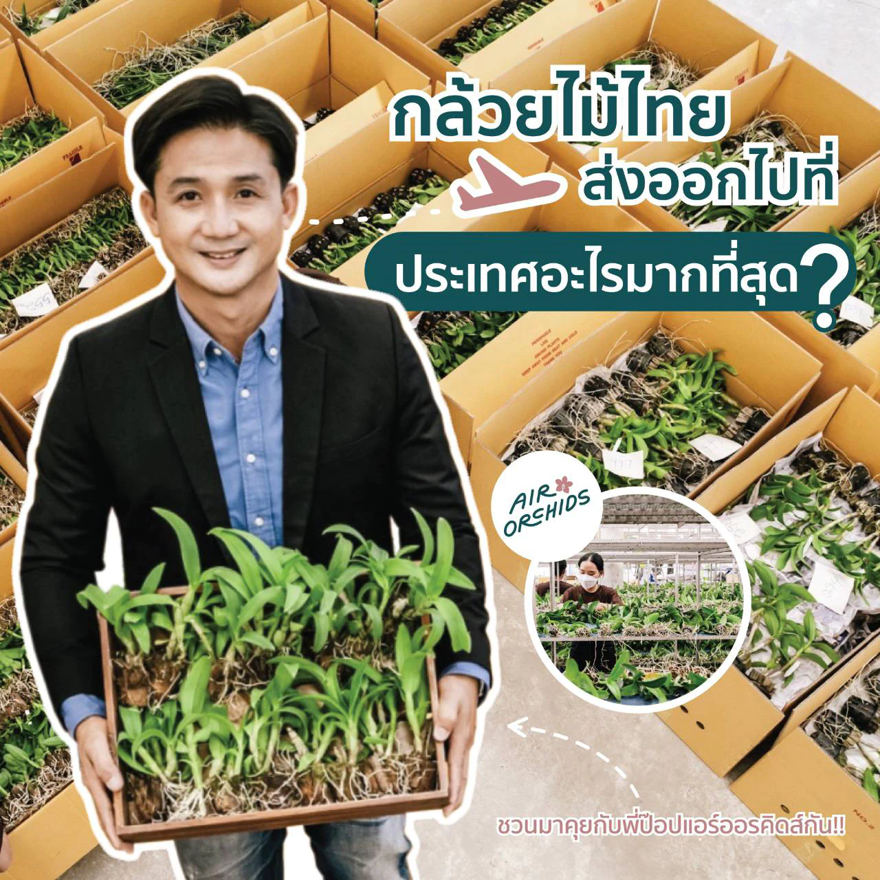 กล้วยไม้ไทยส่งออก