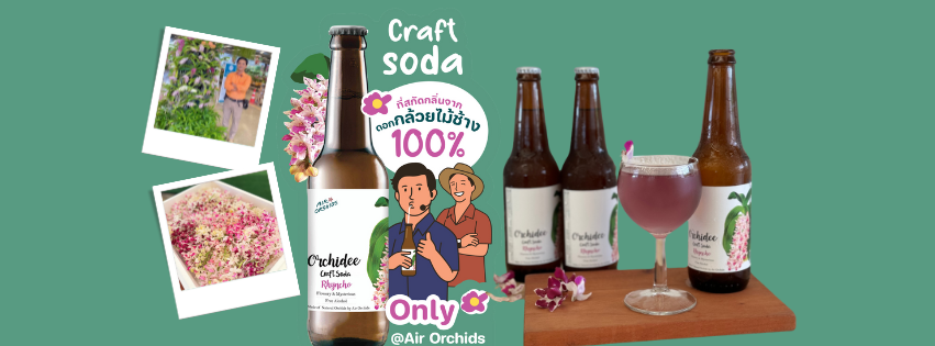 คราฟต์โซดากล้วยไม้ช้าง แอร์ออร์คิดส์
