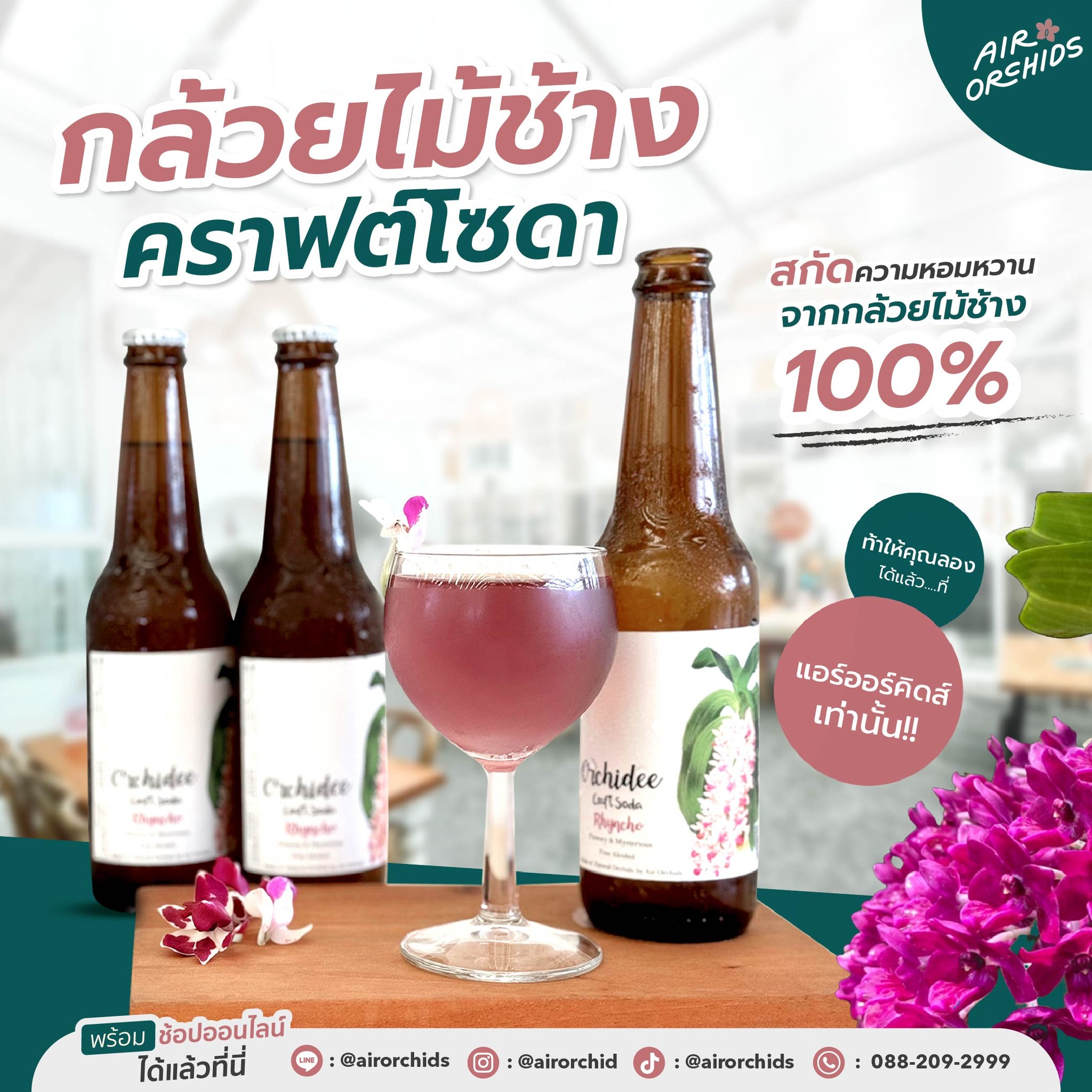 คราฟโซดา 1 คราฟต์โซดากล้วยไม้ช้าง คราฟต์โซดากล้วยไม้ช้าง,คราฟต์โซดา,กล้วยไม้ช้าง คราฟต์โซดากล้วยไม้ช้างที่ทุกคนต้องลอง