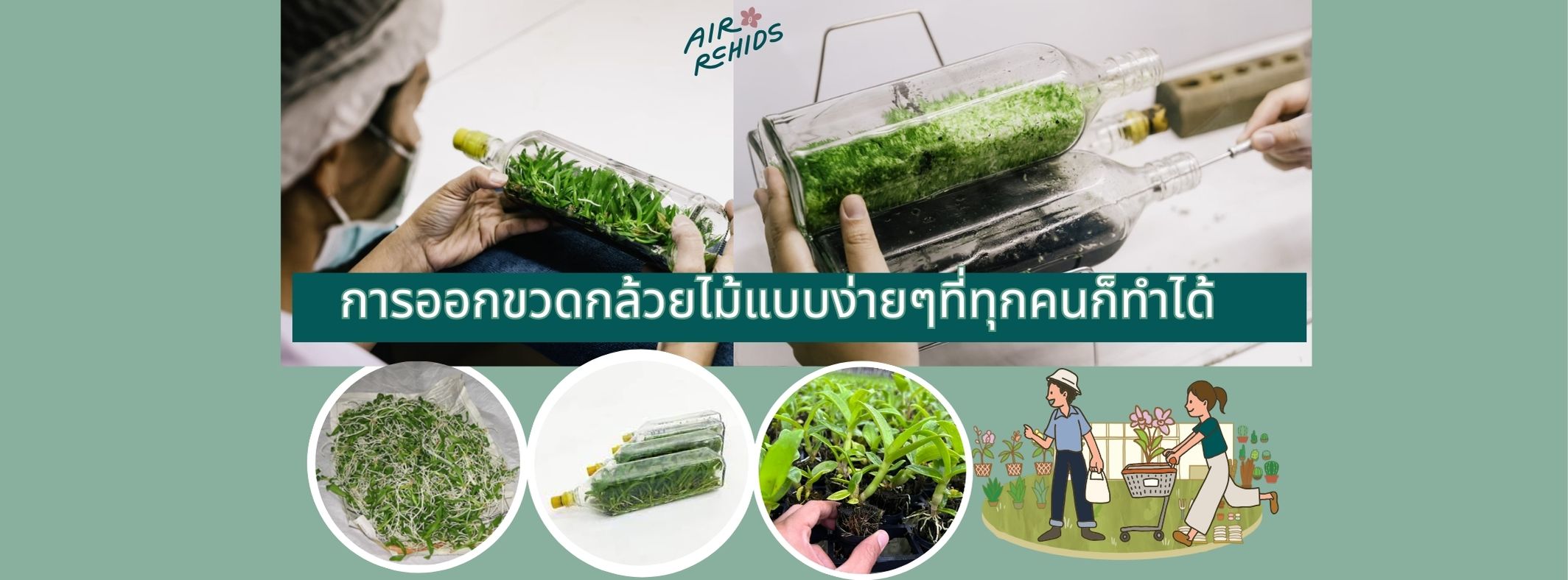 การออกขวดกล้วยไม้