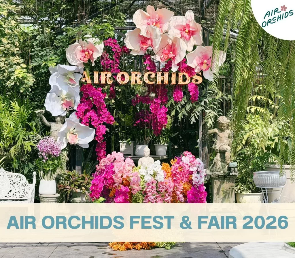 339459 0 Air Orchids Fest & Fair Air Orchids Fest & Fair,สงกรานต์ 2026 Air Orchids Fest & Fair 2026 เปิดสวนชวนเที่ยวรับสงกรานต์ ลอดอุโมงค์กล้วยไม้ ตะลุยตลาดชาวบ้าน & เวิร์คช็อปทำมือ