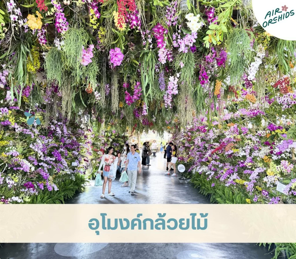 339460 0 Air Orchids Fest & Fair Air Orchids Fest & Fair,สงกรานต์ 2026 Air Orchids Fest & Fair 2026 เปิดสวนชวนเที่ยวรับสงกรานต์ ลอดอุโมงค์กล้วยไม้ ตะลุยตลาดชาวบ้าน & เวิร์คช็อปทำมือ