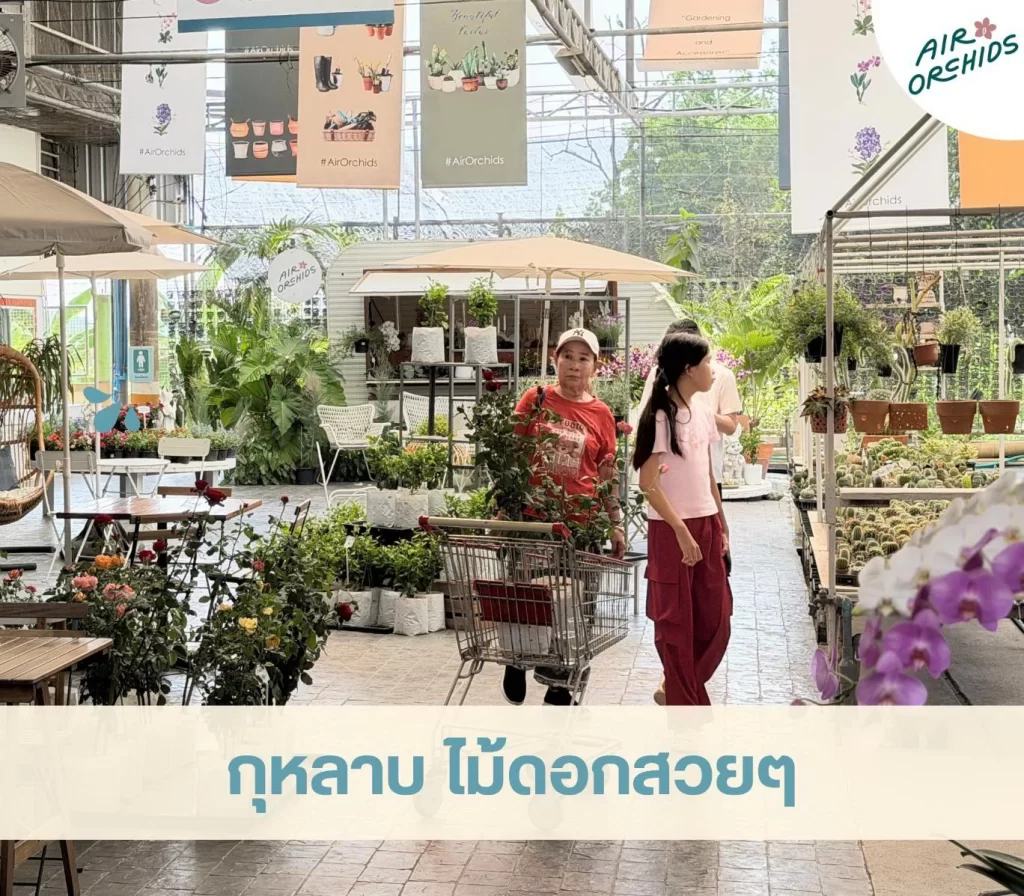 339462 0 Air Orchids Fest & Fair Air Orchids Fest & Fair,สงกรานต์ 2026 Air Orchids Fest & Fair 2026 เปิดสวนชวนเที่ยวรับสงกรานต์ ลอดอุโมงค์กล้วยไม้ ตะลุยตลาดชาวบ้าน & เวิร์คช็อปทำมือ
